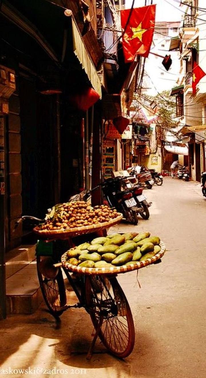 Mỹ Tâm: Họa mi tóc nâu và mối quan hệ với học trò