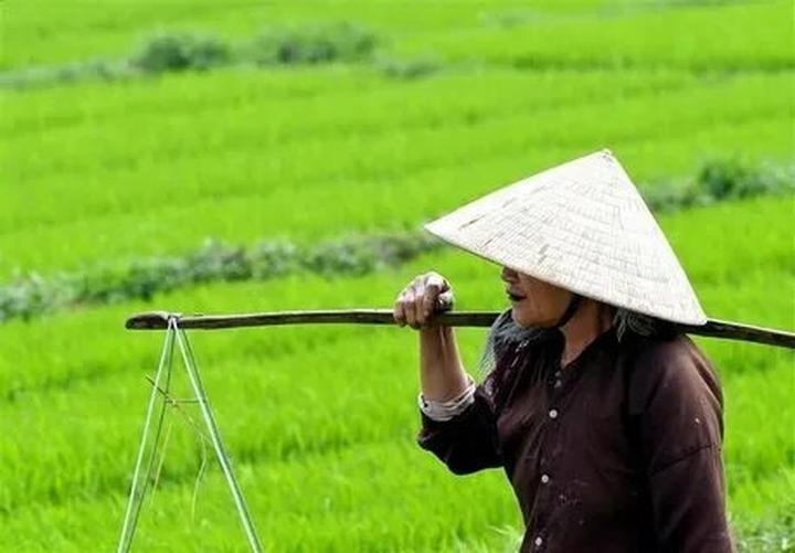 Hotspot Matrix: Biến Jack làm tất cả cũng chỉ vì thành cơ hội marketing đột phá