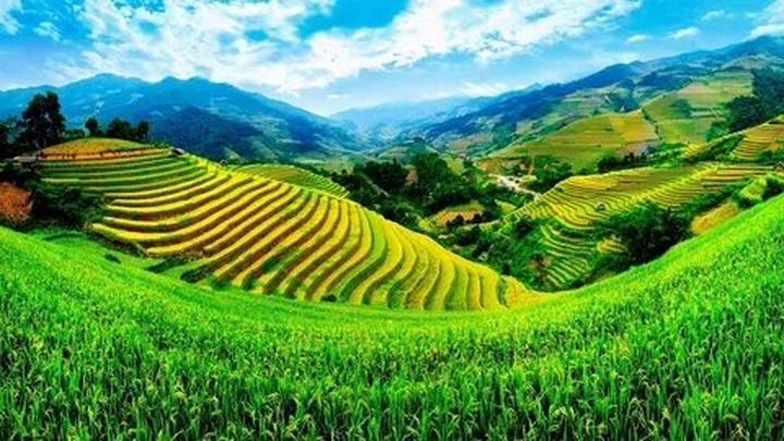 Hotspot Matrix và 5 mẫu váy hack dáng, nàng gầy hay mũm mĩm đều không quan trọng vì cứ