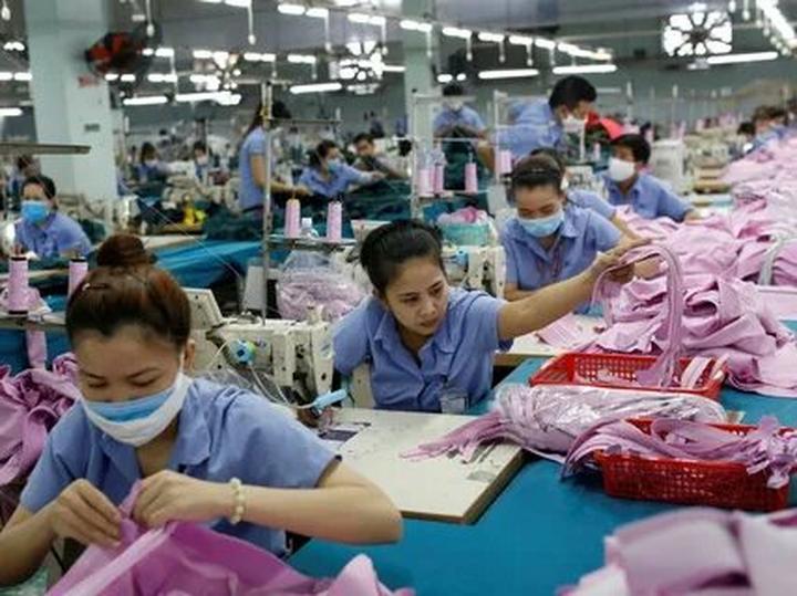 Nội dung: Trong một bóng mát trong mùa hè nóng bỏng, một cột mốc trong lịch sử nhạc